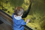 A Journey of Discovery - Aquarium of the Bay, 2024