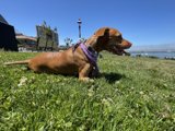 Sitting Pretty at San Francisco Maritime