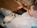 Cozying Up with Furry Company