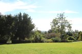Serene Field at The Huntington Library
