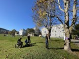 Fun in the Park