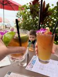 Tropical Refreshments and Youthful Curiosity