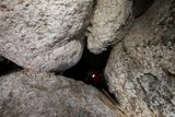 The Secret Hideout