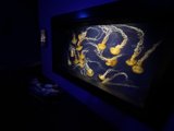 Marvel at the Deep Sea