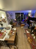 Cozy Living Room with a Furry Companion