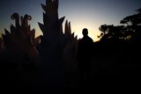 Embracing Nature's Art in San Francisco