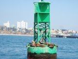 The Green and White Tower by the Waterfront