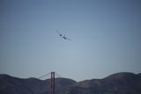Abundance of Flight over Great Meadow Park