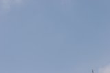 Majestic Bird Flying in Blue Sky