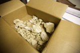 Box of Rocks