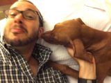 Resting with the Pooch