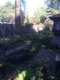 Tranquil Backyard Garden Oasis