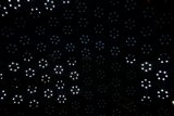 Illuminating Wall of Wonders