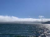 Bridging Land and Sea