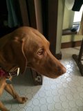 The Bathroom Buddy