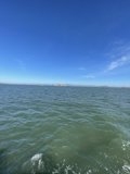 Serene Seascape
