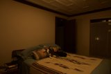 Cozy Bedtime Companion
