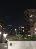 Metropolis Nights