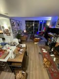 Pooch in the Palatial Living Room