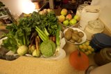Abundant Harvest