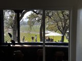 Vineyard View from a Cozy Window