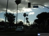 Palm Trees Light Up the Street