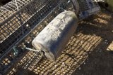 Artistic Touch on the Crab Trap