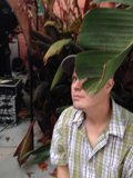 A Man in a Baseball Cap Examines a Banana Plant