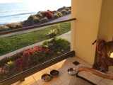 Balcony Buddies