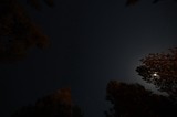 Moonlit Starry Sky Over Lassen Volcanic Forest