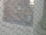 Texture of Nature