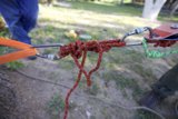 Cutting the Knot