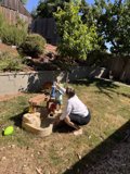 Morning Fun in the Backyard