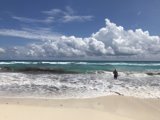 Serenity at the Shoreline