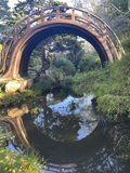 Serene Bridge over a Picturesque Pond