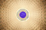 The Porcelain Dome of Isfahan Mosque
