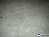 Weathered Flooring