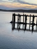 Serene Sunset at Bodega Harbor