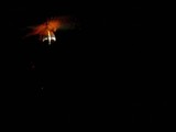 Flamingo in Spotlight