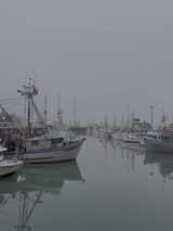 Misty Harbor with Moored Fishing Boats