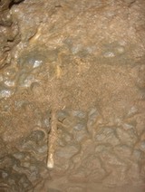Firelight in the Mud Cave