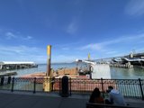 Serene Waterfront Scene at Ferry Building Terminal
