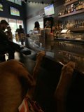 Paws at the Pub