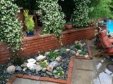 Backyard Oasis