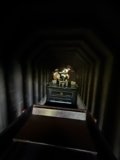 Journey Through Shadows