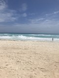 Surfer's Paradise
