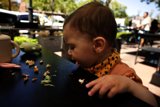 Wesley's Outdoor Dining Adventure