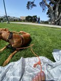 Relaxing in the Park