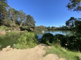 Serene Waters of Golden Gate Park