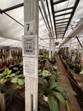 A Bountiful Garden of 9 Plants and More